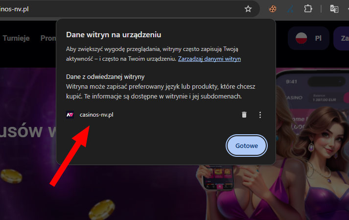 blog strona nie wymaga okienka cookies